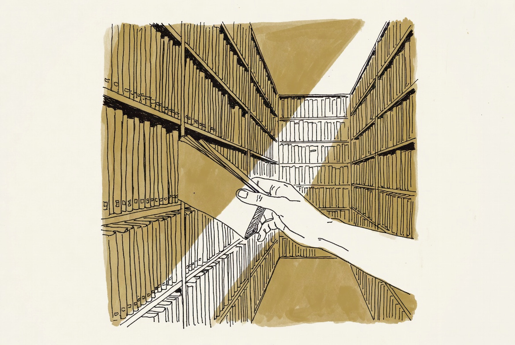 Desenho de linha: mão retirando um volume encadernado de uma estante de arquivo, feixe de luz na diagonal.